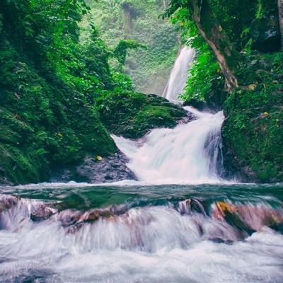 绿茵之巅九游版下载